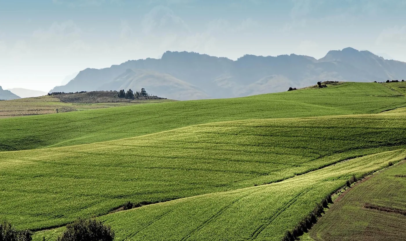 Casaro farmland